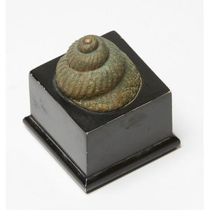 Terry Stringer, Untitled ? Shell, cast and patinated bronze on…
