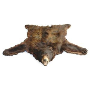 A bear skin rug, the mounted head with open mouth, the paws…