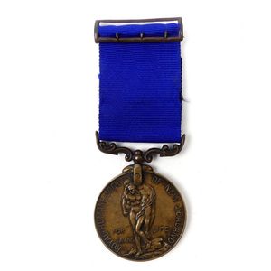 An uncommon bronze Royal Humane Society of New Zealand bravery…