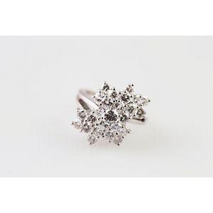 14ct white gold 25stone diamond cluster ring, raised claw&hellip;