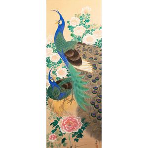 Framed Royal Peacock Canvas Wall Art, 25x33