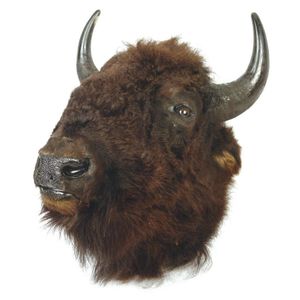 A taxidermy bison head, woolly winter coat, typical black horns,…