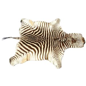 A good vintage zebra skin, large size, complete with head and…