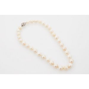 South Sea pearl necklace - price guide and values