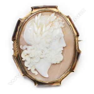 Cameo Brooch Vintage Lady Pin Brooch Bouquet Victorian Costume Cameo  Jewelry -  Israel