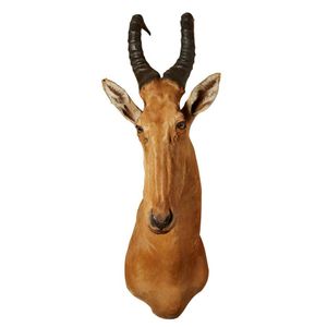 A vintage taxidermied South African hartebeest. 100 cm high, 33…