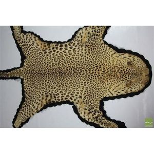 Leopard pelt mounted on cloth and with the eyes, teeth and…