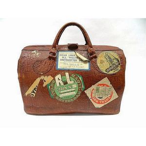 Crocodile Skin & Silk Gladstone Handbag