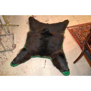 North American black bear skin rug mounted on double felt…
