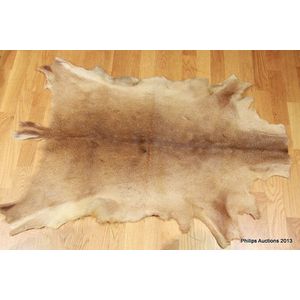 A hog deer pelt (Axis Porcinus), a cased hide in beige and…