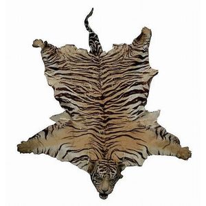 Tiger Rug and Taxidermy Box with Claws - Natural History - Industry ...