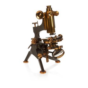 A fine 19th century Watson & Sons gilt brass and blackened…