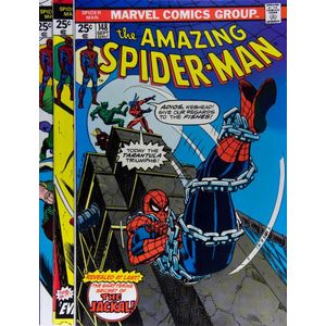 Comics, The Amazing Spider-Man Bronze Age Group. Marvel. 1975…