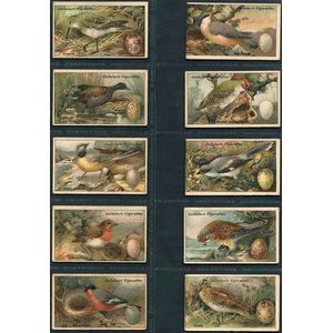 gallaher cigarette cards value Gallaher Cigarettes trading cards