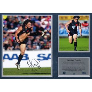 Carlton: Signed displays of Alex Jesaulenko (2) & Brendan…