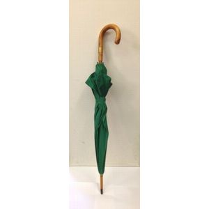 Green Hermes Umbrella with Tinted Beech Wood Handle