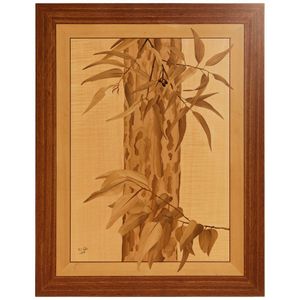 Michael Retter OAM (active 1990s), spotted gum (Eucalyptus…