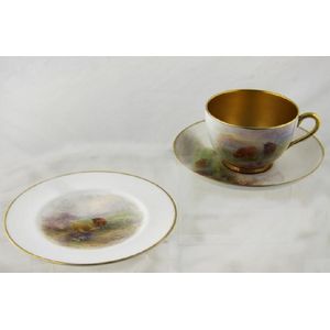 s Royal Worcester Ferncroft Pink Z2247/2 Cup and Saucer Set 