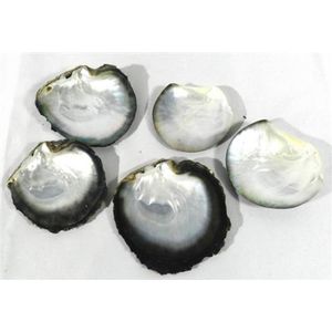 Five oyster shells, mother of pearl interior, diameter 9-12 cm