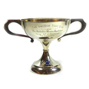 Cup Trophy - Crystal & Gold, Crystal Cup Award with Scroll Handles Award