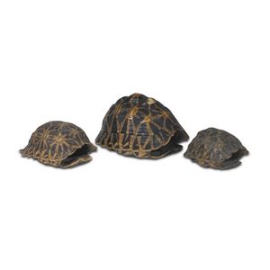 Three tortoise shells, 12 cm long, 9.5 cm long, 7.5 cm long, (3)