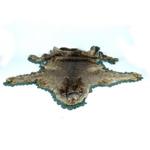 A vintage taxidermy leopard skin, canvas backed with shaped…
