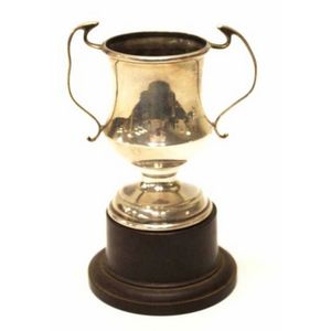 SILVER PRESENTATION CUP SIZE 27 CM  FREE ENGRAVING 459C TRIBUTE 