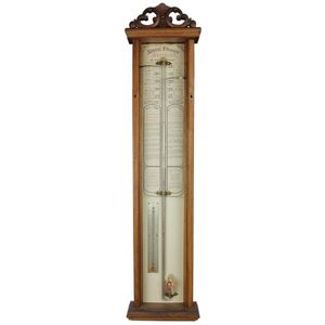 Australian late 19th century 'Admiral Fitzroy' barometer in…