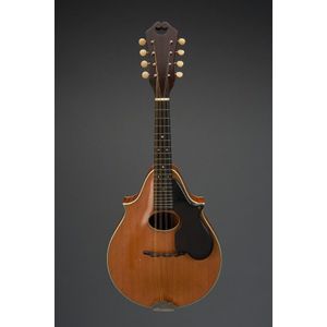 American style 20 mandolin, by C. F Martin & Co, Pennsylvania,…