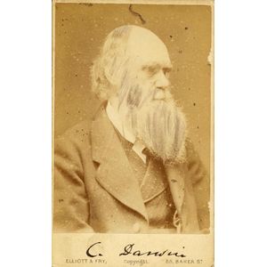 Charles Darwin: printed autograph on carte de visite by Elliott…