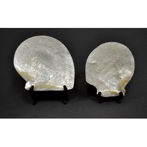 Two Oriental carved mother of pearl shells, each with carved…