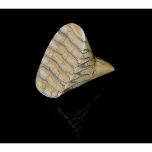 Antique elephant ivory tooth (Molar), circa early 1800s.…