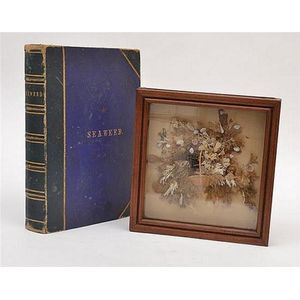 A box framed seaweed diorama and an album of seaweed specimens…