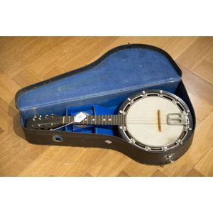 Banjo Mandolin early 20th century in original case.