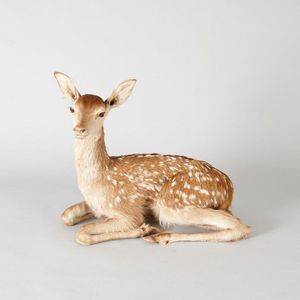 A taxidermied sitting fawn, height 45 cm, length 51 cm, width…