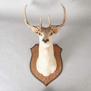 A mounted taxidermied 14 point deer head, height 104 cm, width…