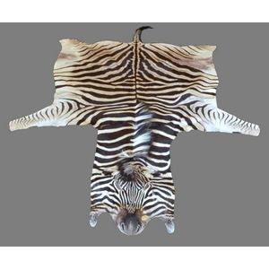 Vintage African newest Animal Skin Rug