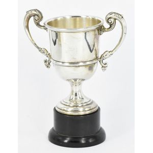 SILVER PRESENTATION CUP SIZE 27 CM  FREE ENGRAVING 459C TRIBUTE 