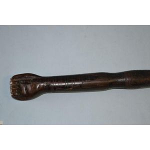 Indigenous Carved Walking Stick with Australian Wildlife Motifs ...