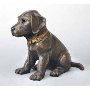 Ronald Lowery (American) A bronze dog, 1996, modelled as a pup…