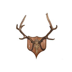 Antique French 10 point antlers mounted on a shield shaped oak…