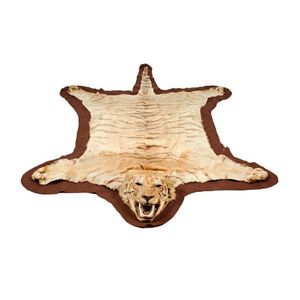 Tiger skin rug: Handsome skin rug with taxidermied head. This…