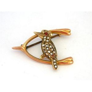Victorian Tiger Claw Brooches in Yellow Gold - Brooches - Jewellery