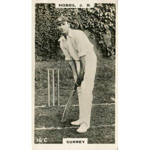 1924 Godfrey Phillips 'Cricketers' (Brown Back), standard size,…