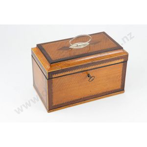 Regency satinwood tea caddy rectangular shape bound in mahogany…