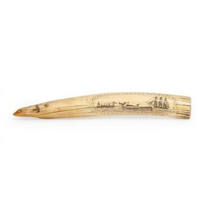 Scrimshaw walrus tusks - price guide and values