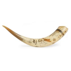 Scrimshaw horn decorated with emu, black swan & sailing ship,…