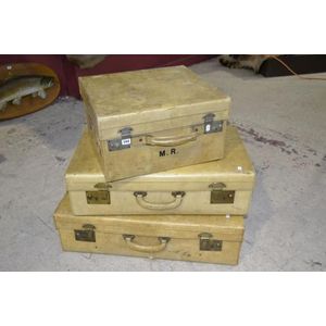 Three quality suitcases in hide