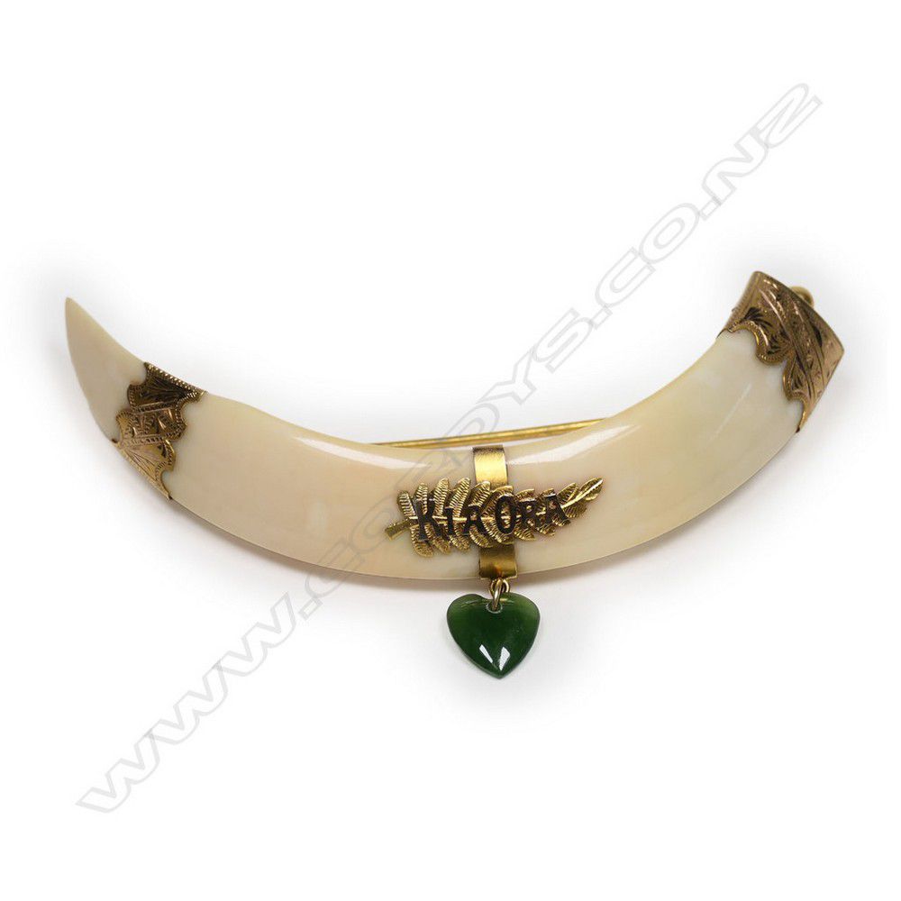 Kiwi-inspired Boar Tusk Brooch with Gold Mounts - Brooches - Jewellery