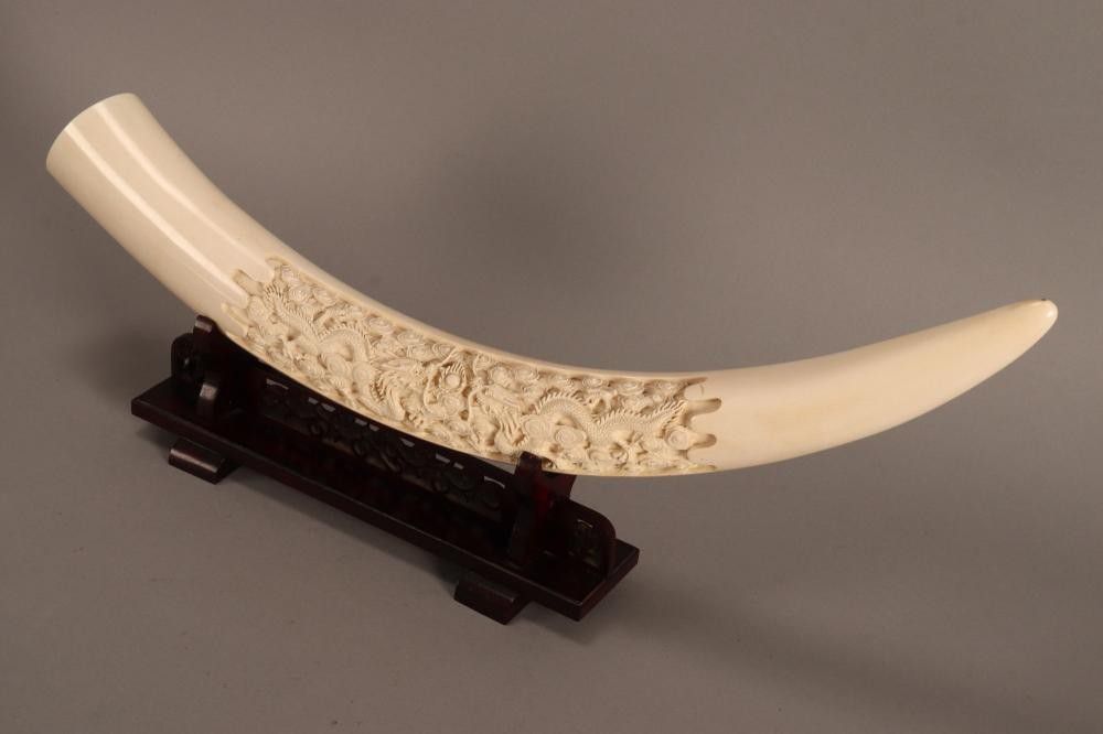 Dragon Battle Ivory Tusk - Ivory - Oriental